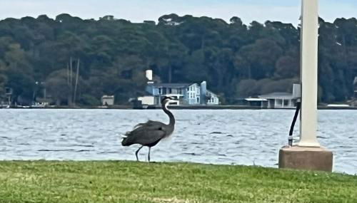 Casa de Suenos - Foto 2