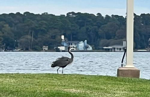 Casa de Suenos - Photo 2