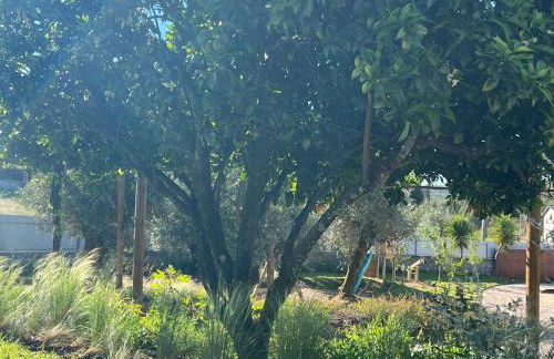 Casa Bizarra - Foto 16