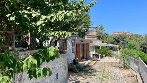 Villa Felici Tropea collina vista mare - Foto 2, Garden