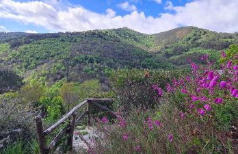 Apartamentos Rurales El Bosque de las Viñas - Photo 60