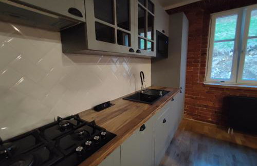 IZERSKA WERANDA - Górski Apartament 120m2 - Foto 9