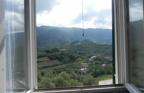 azienda agricola zulin casa elena - Foto 62