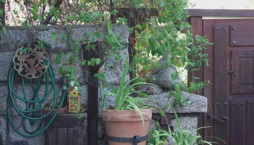 Las Horas Perdidas - Foto 3