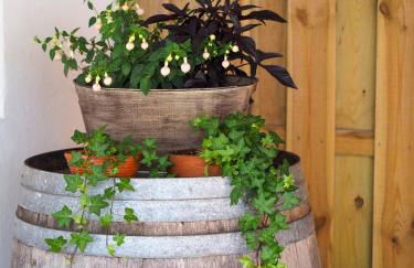 Chalet - Schalom - Foto 43