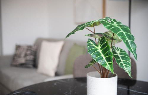 Apartments of Penzance - Foto 78