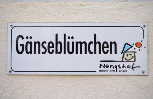 Nengshof Ferienhaus Gänseblümchen - Foto 38