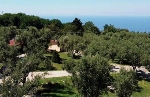 Green Park Residence - Foto 46