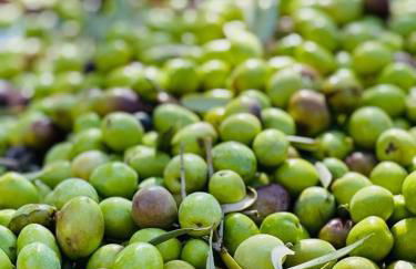 Timpa Bianca - Foto 37