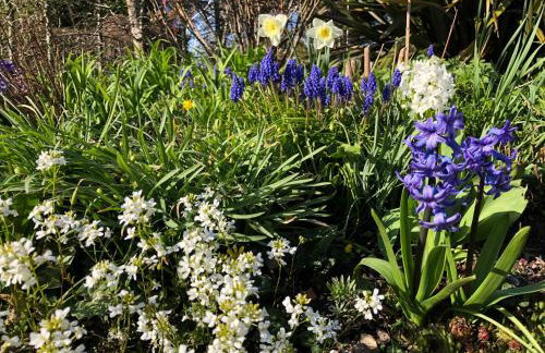 The Steppes Holiday Cottages - Foto 7