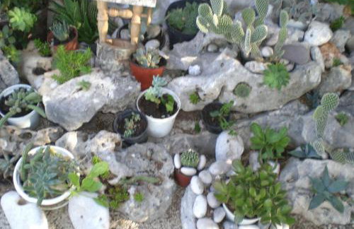 Holiday Home Rubinić - Foto 66