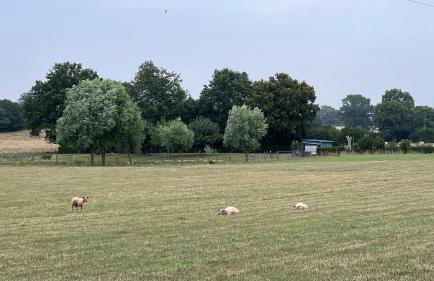 Charming Cottage in a typical French Village - Foto 58