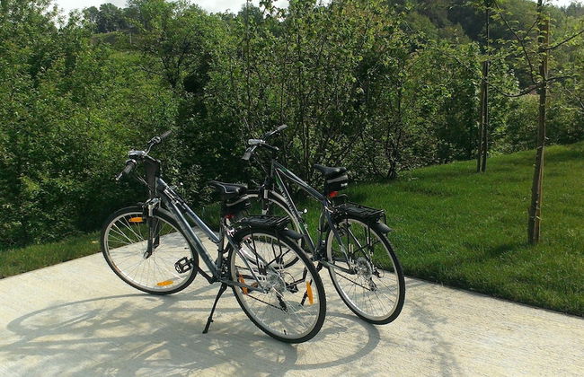 Ortenia apartments in nature - Foto 18