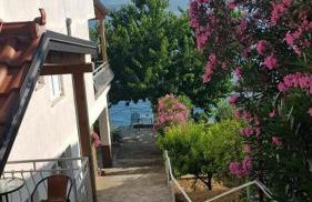 Apartments Coko - Foto 19