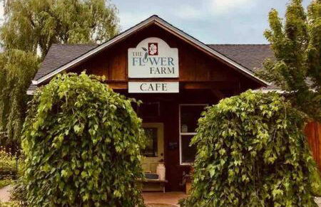 Country Charmer Single Story Cottage Pet Friendly - Foto 34