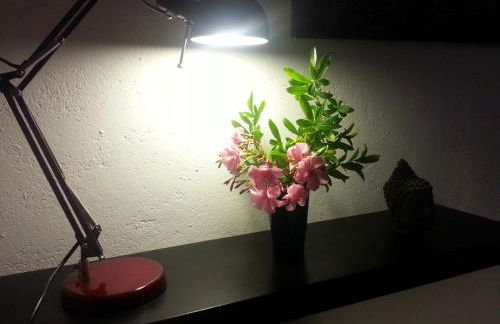 L'Atelier B&B - Esprit bohème, la nature en ville - Foto 25