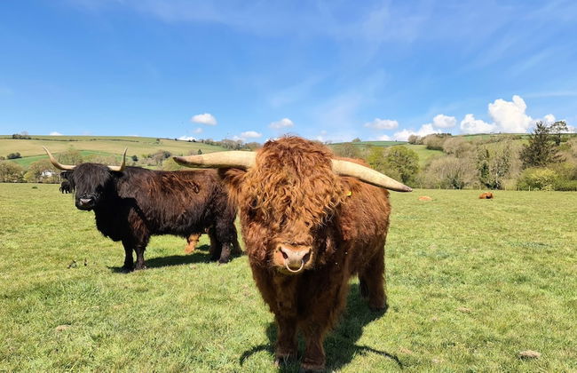 Viking Sleeping Barrel - Foto 8