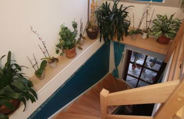 Studio und Apartment auf dem Pferdehof - Foto 17