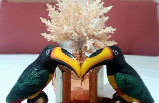 Casa Tucano - Suite apartment - Foto 13