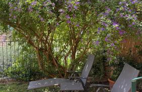 Wanda Mtb Paradise Home - Foto 52