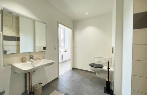 Grand gîte lumineux au cœur du Perche, adapté PMR - FR-1-497-240 - Foto 13