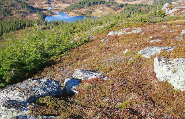 10 Person Holiday Home in Follafoss-by Traum - Foto 13