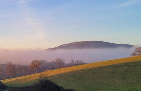 Ferienhaus auf dem Lusitanohof Jäger - Foto 22