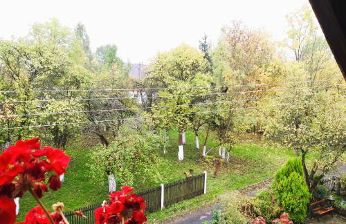 M&E Cztery pory roku Szklarka 25A - Foto 56