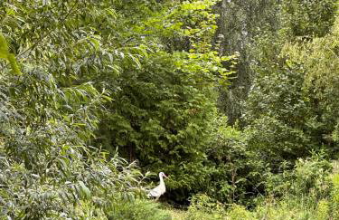 Pokój Przy Kominku - Foto 40