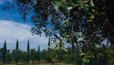 Casa del Sole - Foto 3