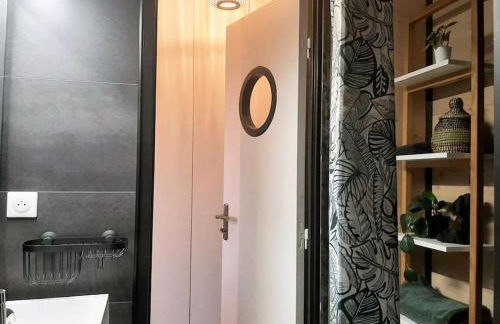 Songe Tropical-InvIRI. Studio CHU. Parking Aisé. - Foto 16