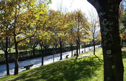 Covelo Apartment - Foto 33