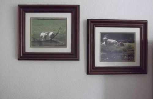 Hall Dale View near Matlock & Peak District - Photo 26