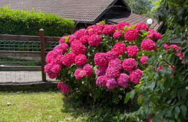 Chalet Aledia - Photo 8