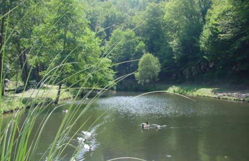 Gîte en bord d'étang et de rivière - Foto 24