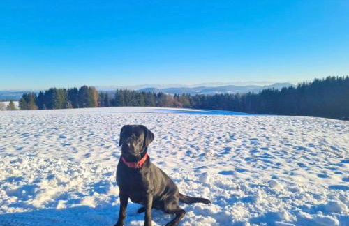 Schweizerblick - Denkmalgeschützes Haus in ruhiger Lage - großer Garten und mit Charme eingerichtet - ideal für Familien, Paare & Hund - Foto 45