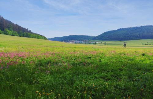 Apfelkiste - Foto 27