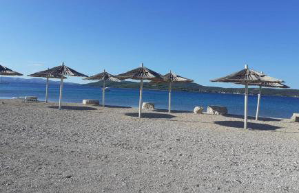 Oleander adria - Foto 33