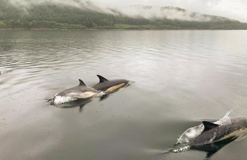 An T'abhall - Foto 27