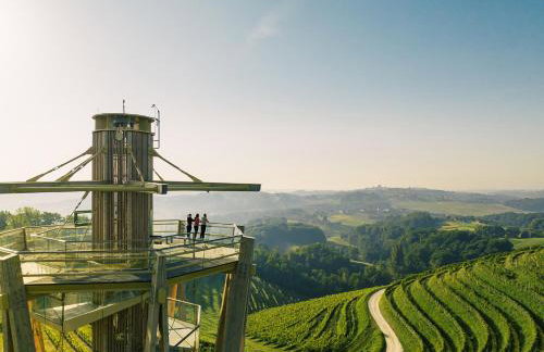 Villa Sole-kuća za odmor u Međimurju-Dragoslavec - Foto 65