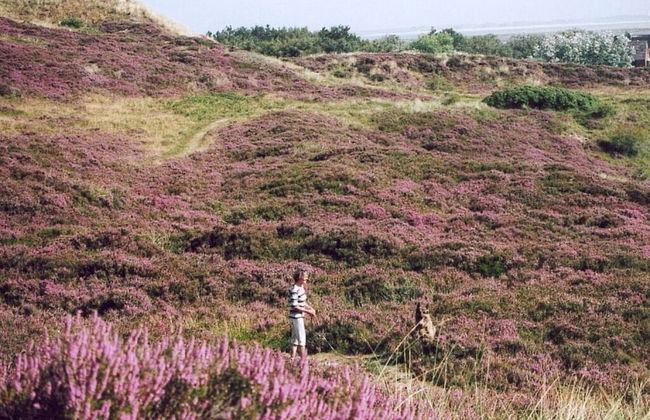 Nordic Huis Modern Retreat - Foto 10