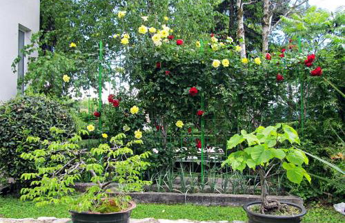 Apartment Ana - Foto 43