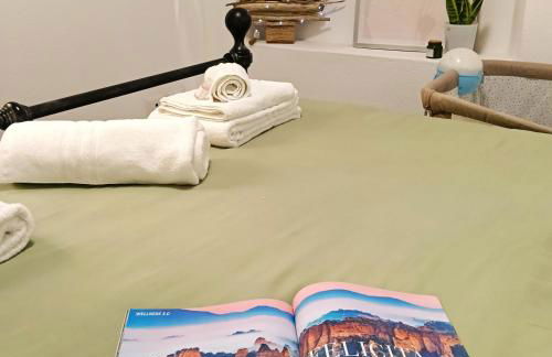 Lake Como PORTO VECCHIO - Photo 27