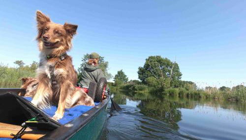 Spreebogenhof - Foto 4