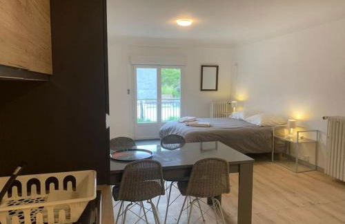 Loft avec parking centre Tours et bord du Cher Loire Valley - Foto 8