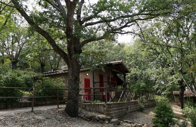 Il Daino Bianco Country Hotel - Foto 27