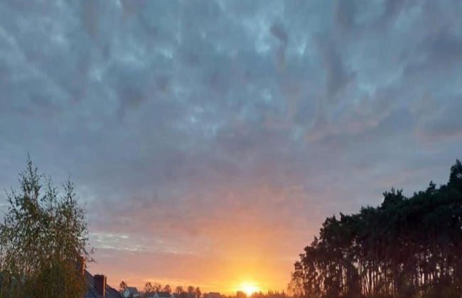 La Roche Cozy Forest Escape - Photo 28