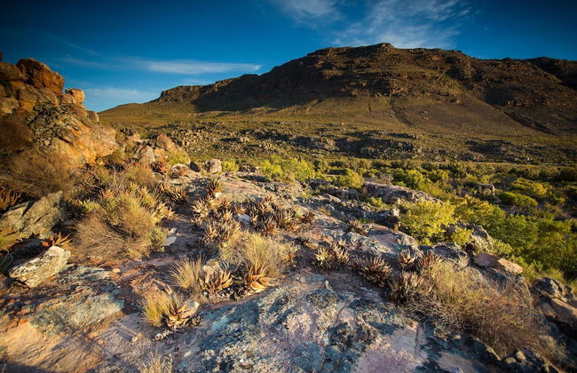 Cederberg Park - Foto 27