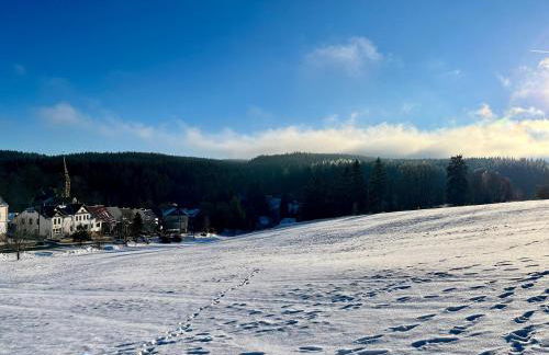 Unique flat Vogtland-Panorama by respect host - Foto 18