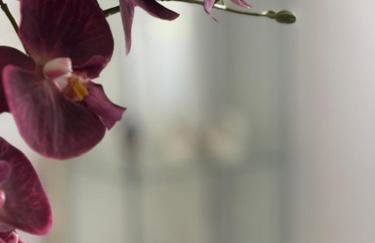 Apartman 86 - Foto 12